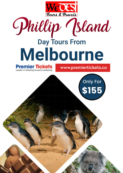 Phillip Island Day Tour Including Lunch and Refreshments - 23 Nov