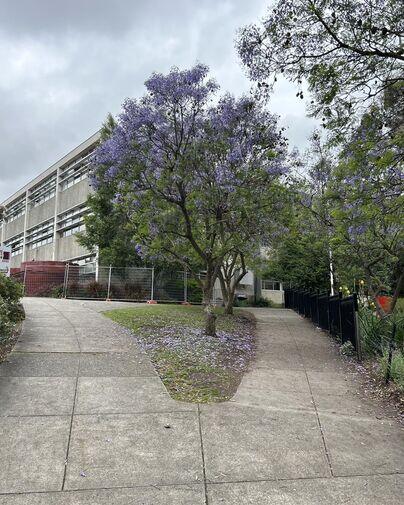Kew High School Auditorium