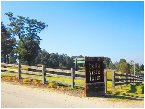 Bella Vista Farm